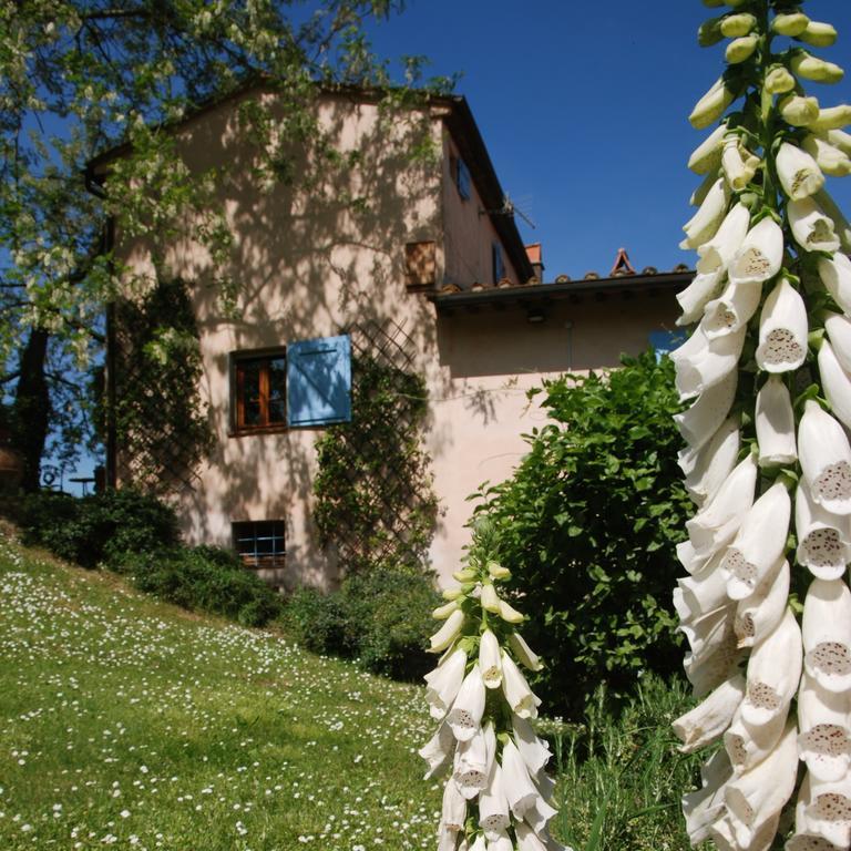 Appartamento Con Patio Privato E Giardino Tra Pisa E Firenze Palaia Eksteriør bilde