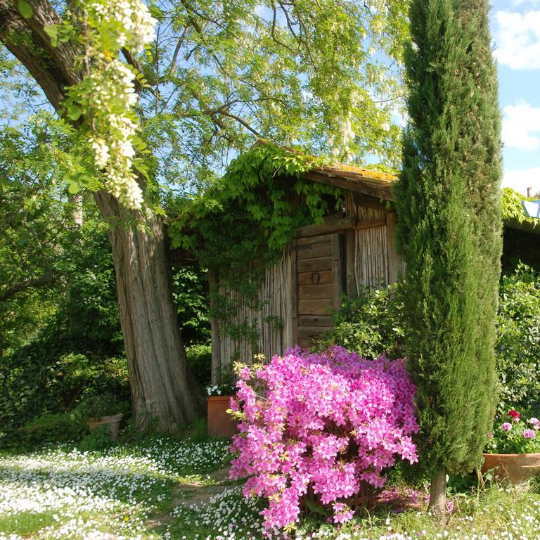 Appartamento Con Patio Privato E Giardino Tra Pisa E Firenze Palaia Eksteriør bilde