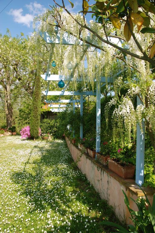Appartamento Con Patio Privato E Giardino Tra Pisa E Firenze Palaia Eksteriør bilde