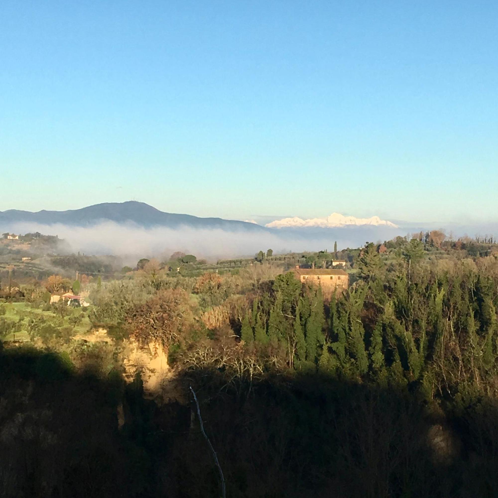 Appartamento Con Patio Privato E Giardino Tra Pisa E Firenze Palaia Eksteriør bilde