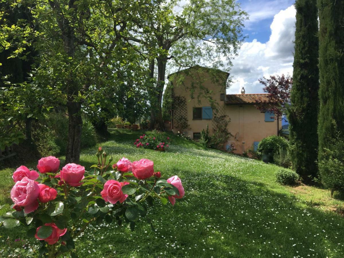 Appartamento Con Patio Privato E Giardino Tra Pisa E Firenze Palaia Eksteriør bilde